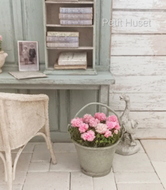 Oude Emmer met Geraniums
