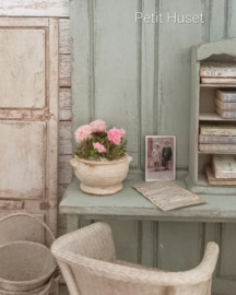 Oude Terinne met Geraniums