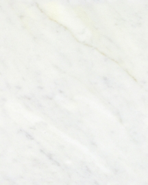 Carrara Bianco Marmer