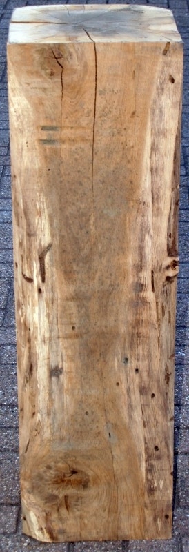 hanger Reusachtig Kapper Sokkel hout