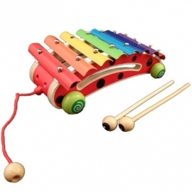 Muziekinstrumenten