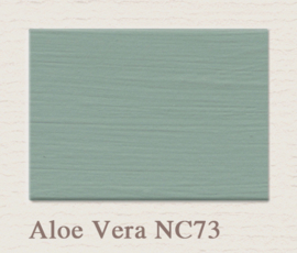 NC73 Aloe Vera Painting the Past Lak