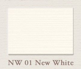 NW 01 New White Painting the Past Lak