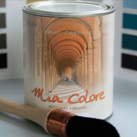 Mia Colore sealer / matte vernis