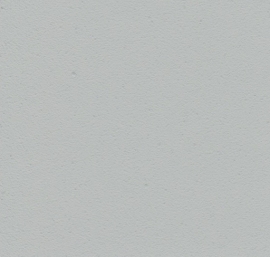 P81 Aqua Flamant Wall Matt