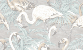 Curiosa - Flamingo 31542 - Arte Wallpaper