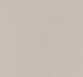 P06 Old White Flamant Wall Matt