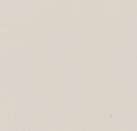 P05 Blanc de Dunes Flamant  Wall Matt