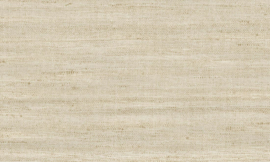 Lignes 40500 - Arte Wallpaper