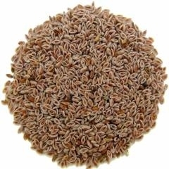 Psyllium zaden ( Plantago afra ) 1kg