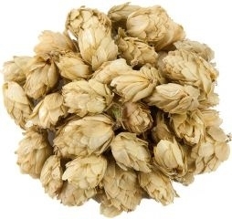 Hopbellen ( Humulus lupulus ) 500gr