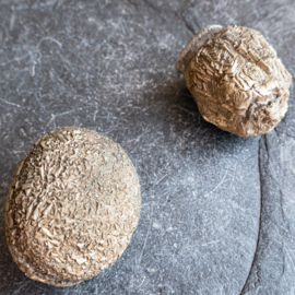 Boji® Stenen - Pop Rocks paar (Groot) ø 3,5 - 3,1 cm.