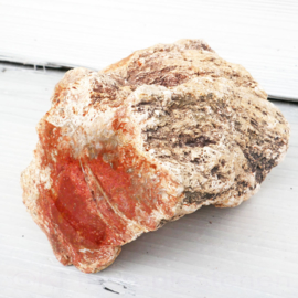 Versteend Hout ruwe Stam (Indonesië)