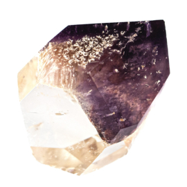 Lemurian - Dreamcoat Lemurian 1x UNIEK