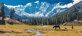 Himalaya-Kwartskristal Dubbeleinder met Toermalijn    1x uniek ex.