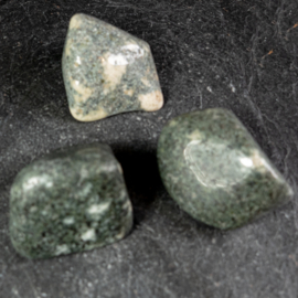 Preseli blauwe steen, Bluestone, 'Stonehenge', 'spotted' TS (XL) p.st.