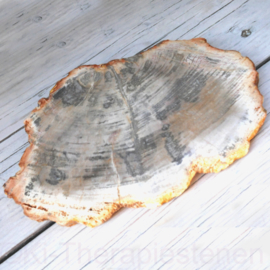 Versteend hout, schijf 17,5 bij 12 cm
