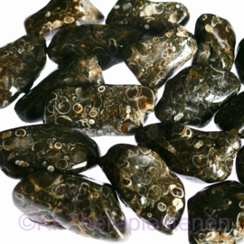 Jaspis: Turitella  jaspis trommelsteen XL (gem. ca 15 gr.)*