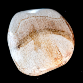 Versteend hout platte edelsteen │ 1x UNIEK