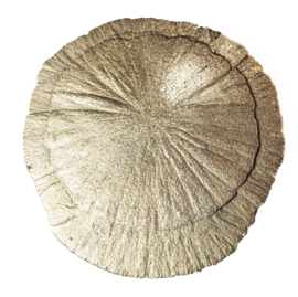 Pyriet Zon ø 7 cm  1A kwaliteit | 1x UNIEK