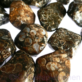 Jaspis: Turitella  jaspis trommelsteen XL (gem. ca 30 gr.) p.st.*