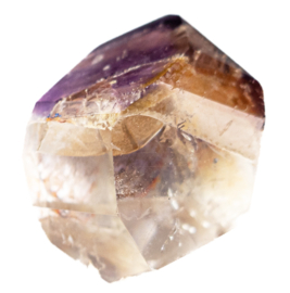 Lemurian - Dreamcoat Lemurian 1x UNIEK