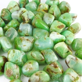 Chrysopraas trommelsteen Extra  (XL) per st.*