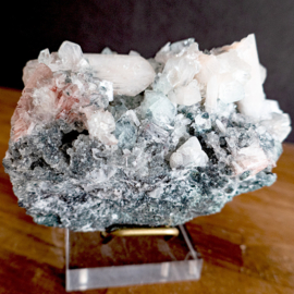 Apofyliet kristallen op cluster (+standaard)   (Poona India)