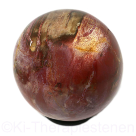 Versteend Hout Bol 6 cm nr. (A) 1x uniek ex. ca 0,3 kg