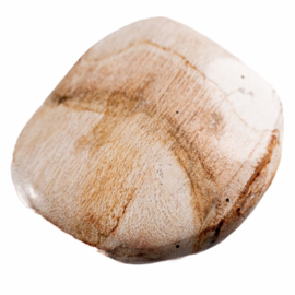 Versteend hout platte edelsteen │ 1x UNIEK