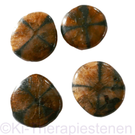 Kruissteen, Chiastoliet, platte edelsteen p.st. ( ø ca. 3 cm)