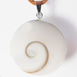 Eye of Saint Lucia  hanger  per st.