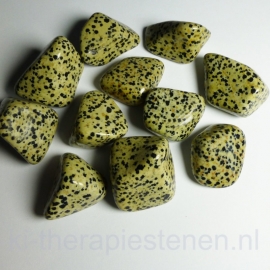 Dalmatiërsteen trommelsteen (XL)  per st.*
