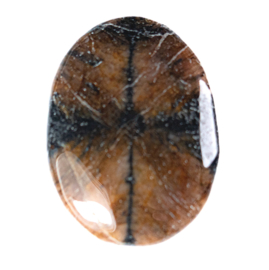 Kruissteen, Chiastoliet, platte edelsteen p.st. (4 cm)