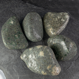Preseli blauwe steen, Bluestone, 'Stonehenge', 'spotted' TS (XL) p.st.