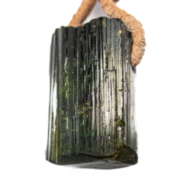 Toermalijn, Groene Toermalijn, Kristal hanger  | 1x UNIEK L 2,4 cm