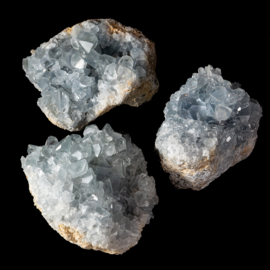 Coelestien Cluster (s) Grootpak 1 kilo (3x st.)