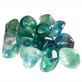 Fluoriet, Groen-Blauwe Fluoriet trommelsteen (XL) per st.*