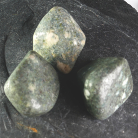 Preseli blauwe steen, Bluestone, 'Stonehenge', 'spotted' TS (XL) p.st.