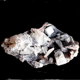 Apofyliet kristallen op cluster (+standaard)   (Poona India)