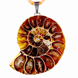Ammoniet hanger L. 4 cm│ 1x UNIEK