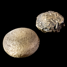 Boji Stenen - Pop Rocks Paar (Small) L. ø 2,7 cm 1x UNIEK