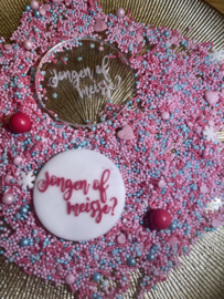 Gender reveal -jongen of meisje - Cakepop Message Stamp