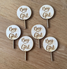 Boy or Girl  Cupcake topper - hout - set van 6