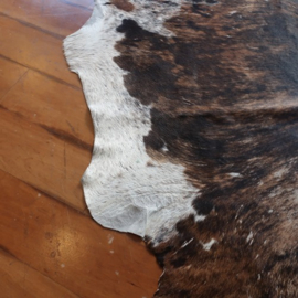 Huid koe koeienhuid  origineel 200 x 160 cm