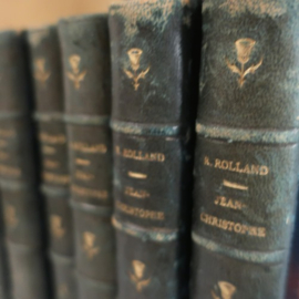 Set 10 oude boeken rug van leer VERKOCHT
