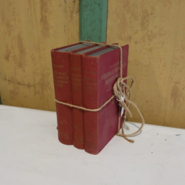 Oude technische woordenboeken stapeltje