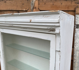 Vitrine kast wit pronk sier wand boeken