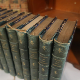 Set 10 oude boeken rug van leer VERKOCHT