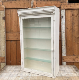 Vitrine kast wit pronk sier wand boeken